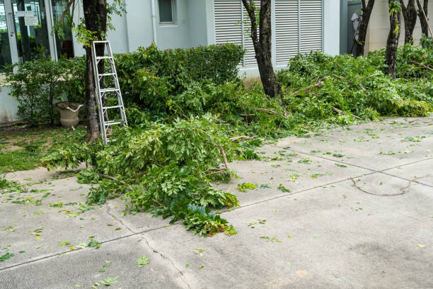 Leaf Removal in Morrow, OH